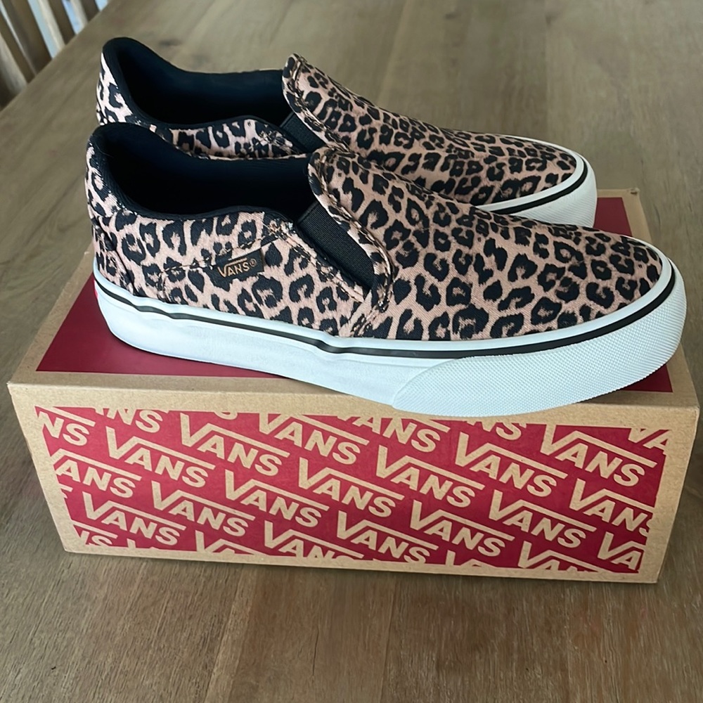 Vans Asher slip ons